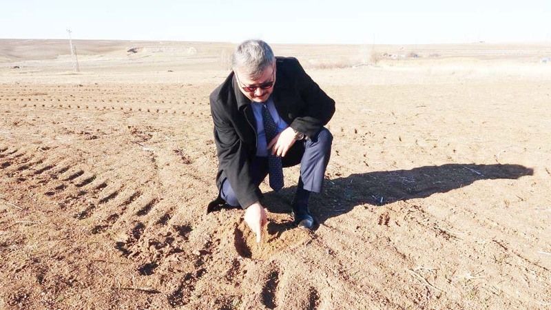 Tarım Alanları Tehdit Altında: Hızla Çoğalıyorlar!