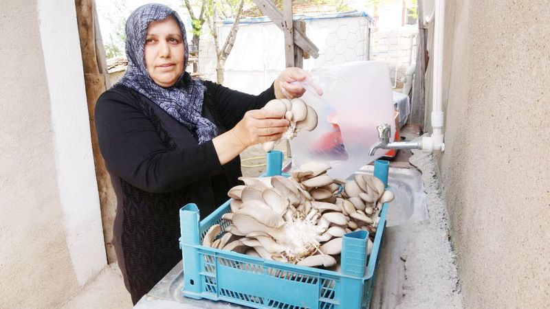 Yozgat’ta Kadın Girişimcinin Başarısı: Mantar Ananın Örnek Hikayesi…