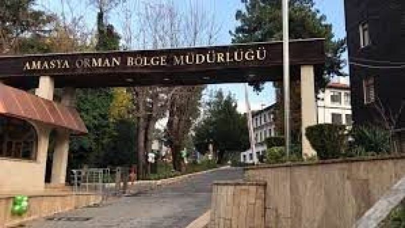 Amasya Orman İşletme Müdürlüğü üst yapı işleri yaptıracak