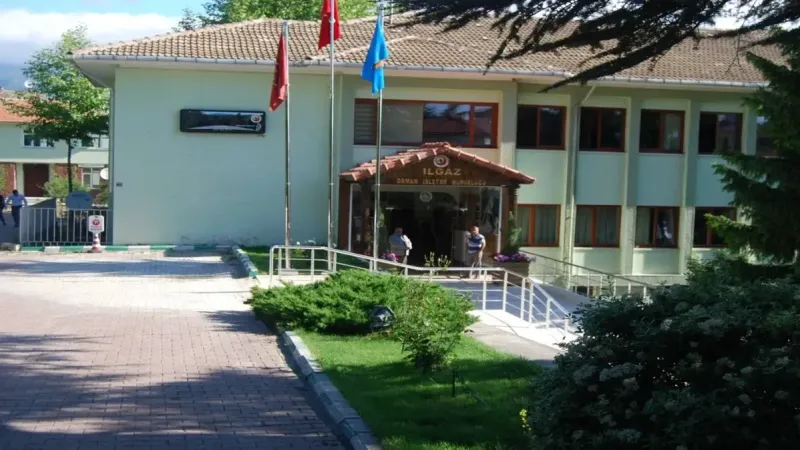 Ilgaz Orman İşletme Müdürlüğü harçlı ıslah seki ve gabion eşik işleri yaptıracak
