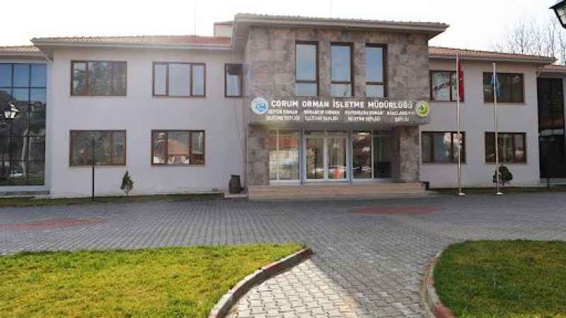Osmancık Orman İşletme Müdürlüğü yeni orman yolu yapımı işi ihalesi