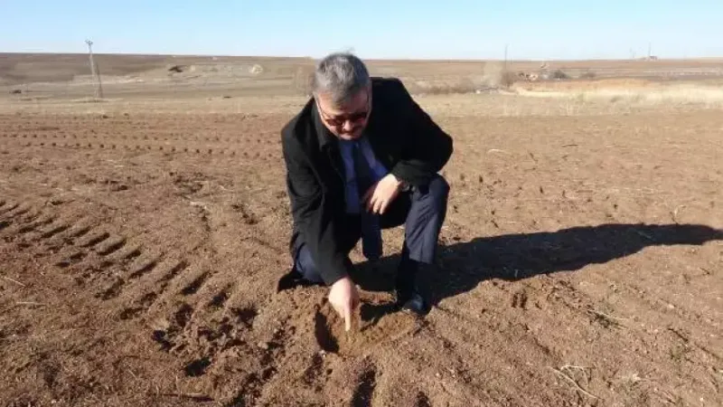 Yozgat'ta Yanlış Uygulama Fare İstilasına Neden Oldu
