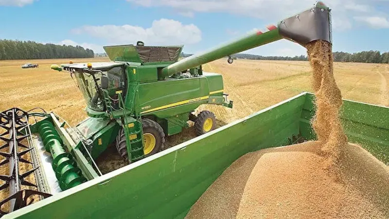 Tarımda Güncel Hububat Fiyatları: 1 Ton Buğday, Arpa ve Mısır Kaç Lira?