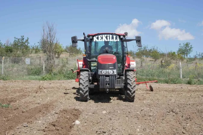 Komşu çiçek açtı, Yozgat'ta durum ne?