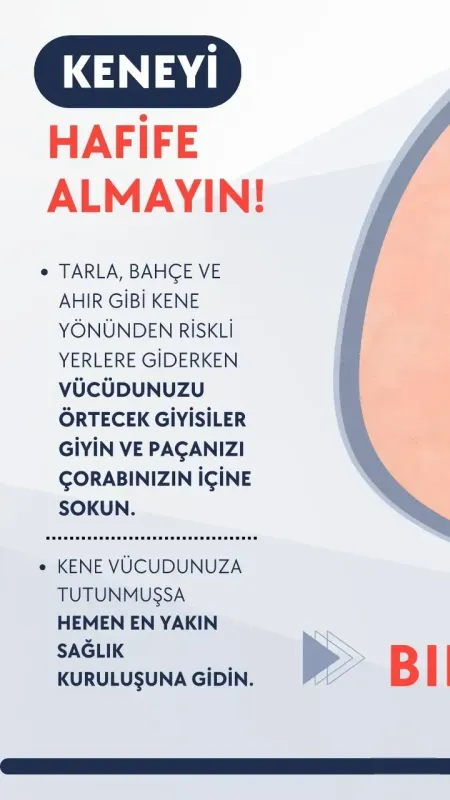 Yozgat'ın Korkulu Rüyası: Keneyi Hafife Almayın!