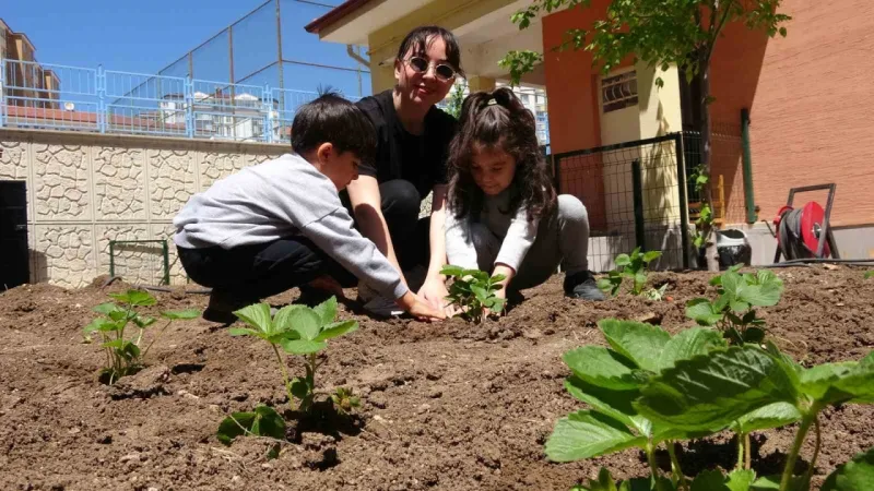 Yozgat'ta okul bahçesinde oluşturuldu!