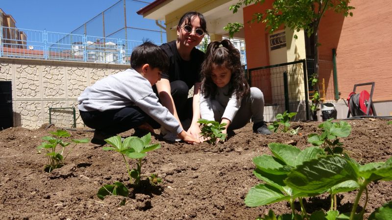 Yozgat'ta Minik Eller Toprağı İşliyor