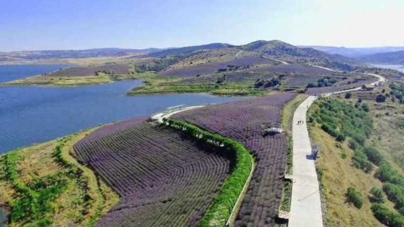 Yozgat'ın Köyden İlçeye Dönüşen Gizli Cenneti: Çekerek!