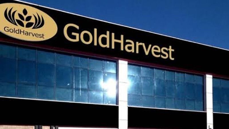 OYAK, kuruyemişe giriyor Gold Harvest’ı satın alıyor.. Gold Harvest hangi ülkenin markası? Gold Garvest kimin malı sahibi kim?