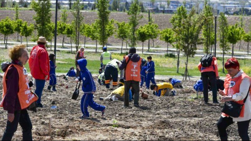 Doğanın Koruyucuları: Minik Ellerle Büyüyen Meşe Fideleri BAKAP'ta Kök Salıyor!