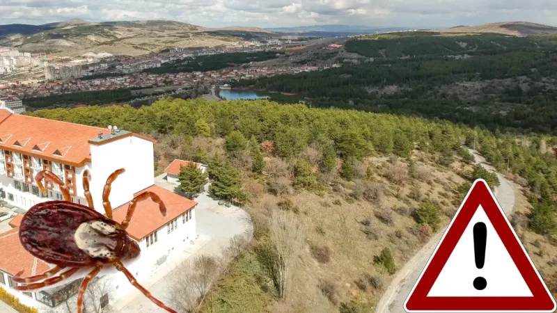 Yozgat, Çorum, Tokat'ta Yaşayanların Kan Grubu Bu Tehlikeyi Çekiyor