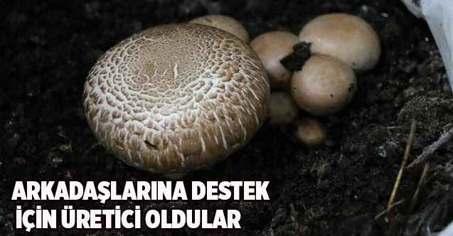 Arkadaşlarına destek için üretici oldular