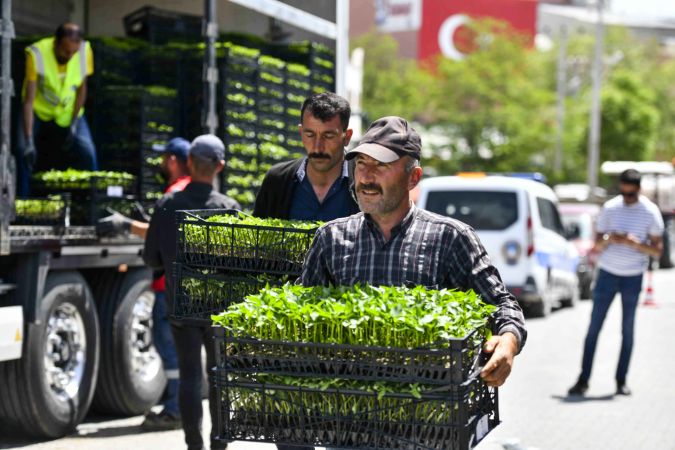 Başkentli çiftçiye hibe desteği