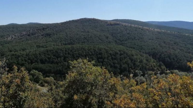 Yozgat Kamp Yerleri! Yozgat’da Kamp Yapılacak En İyi Yerler