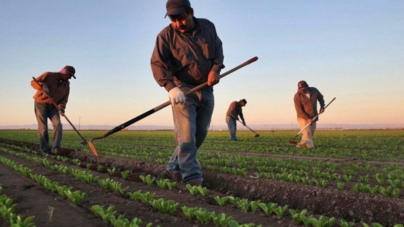 Köyün Umudu: Yozgat'ta Bir Çiftçinin Öyküsü