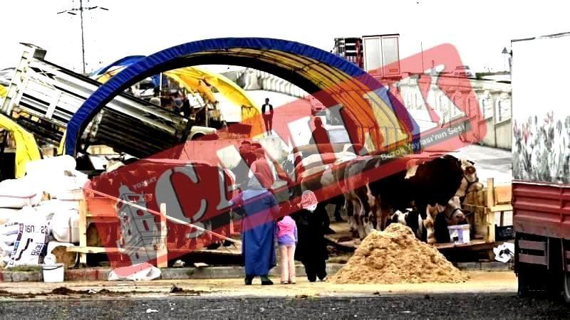 Ankara Sincan'da Kurban Bayramı Hazırlıkları Başladı