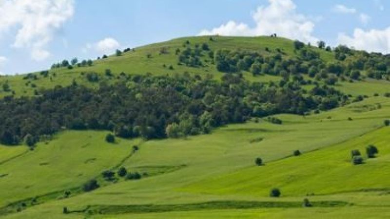 Akdağmadeni’nde Doğanın Bahar Renkleri Büyülüyor!