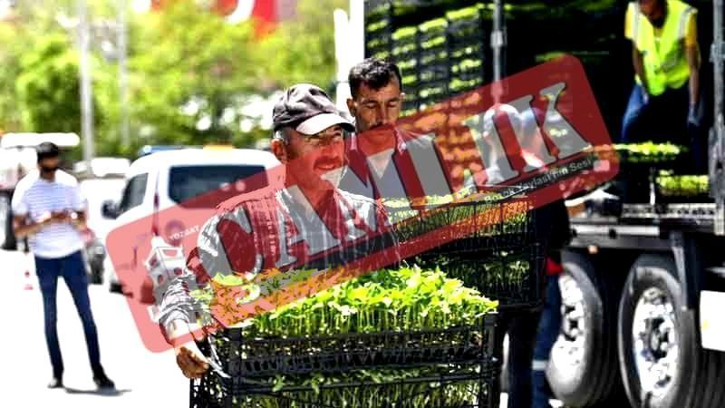 Ankara'da Üreticilerin Yüzü Sebze Fidesi Dağıtımı ile Güldü