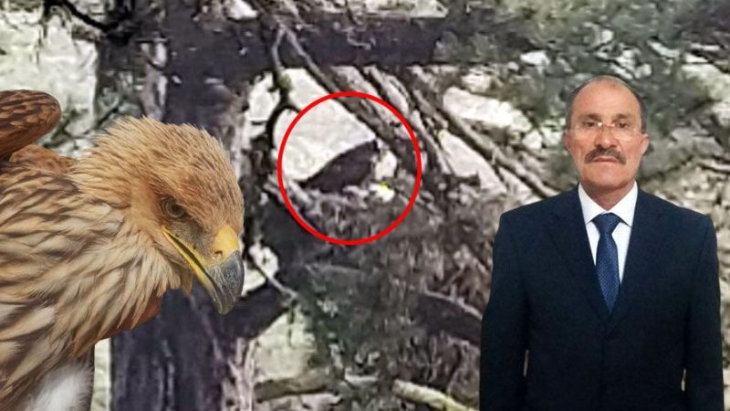 Bozkır’da bir şah kartal: Yozgatlı usta sporcunun objektifine takıldı