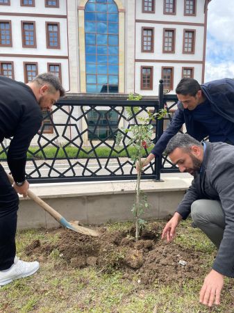 Yozgat'ta Anlamlı Ağaçlandırma: Her Çalışma Yılına Bir Fidan