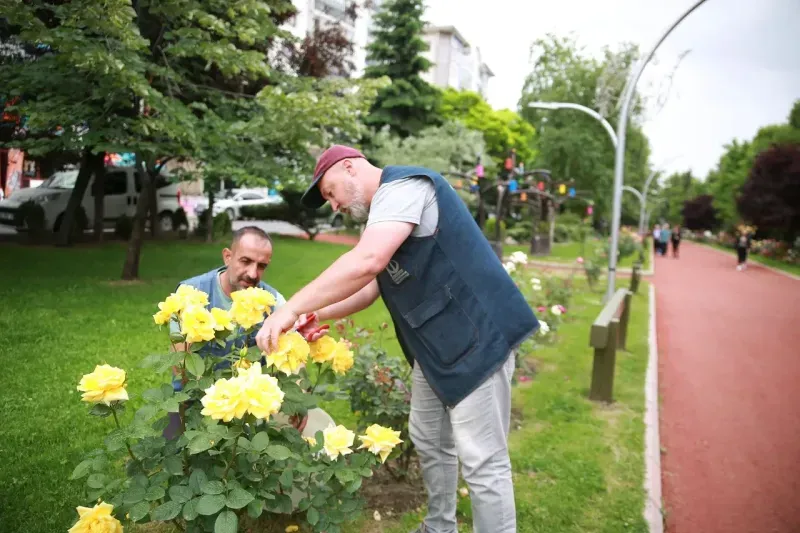 Keçiören çiçek açacak Parklar rengârenk