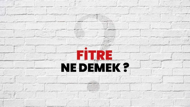Fitre Nedir?