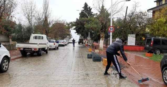 450 kilo zeytin yola saçıldı