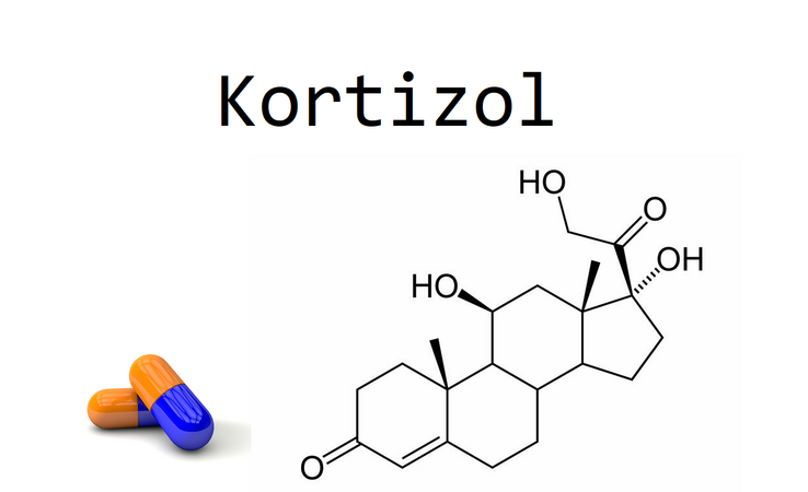 Kortizol Nedir?