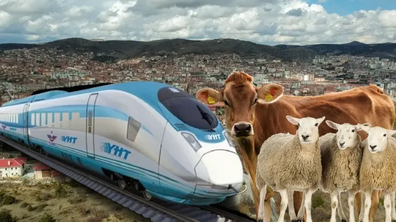 Yozgatlılar'ın Bayramdaki Tercihi YHT' den Yana