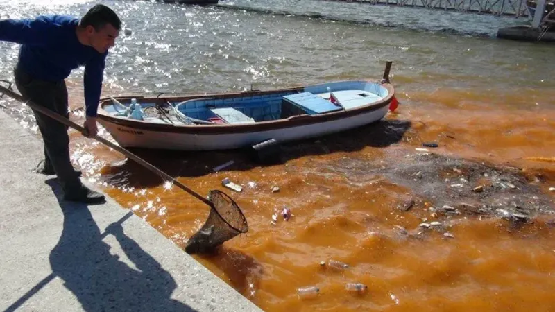 Deniz Neden Kırmızı Olur?