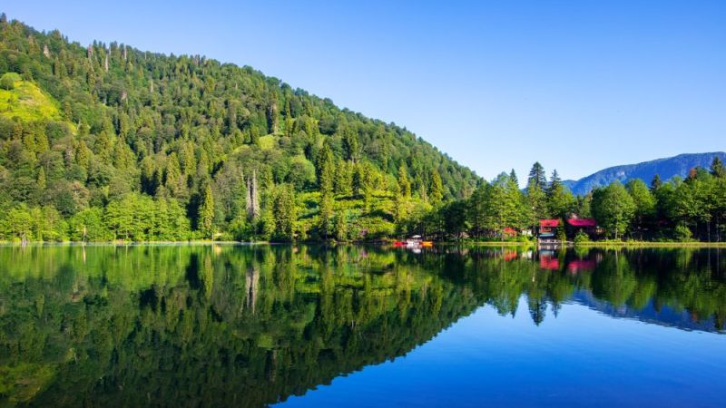 Artvin Gezilecek Yerler! Artvin'de Karavanla Nerelere Gidilir? Artvin Gezi Rehberi 2024