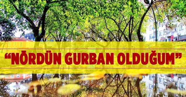 Yozgat Belediyesi'nin Twitter Mesajı Olay Oldu. Nördün Gurban Olduğum....