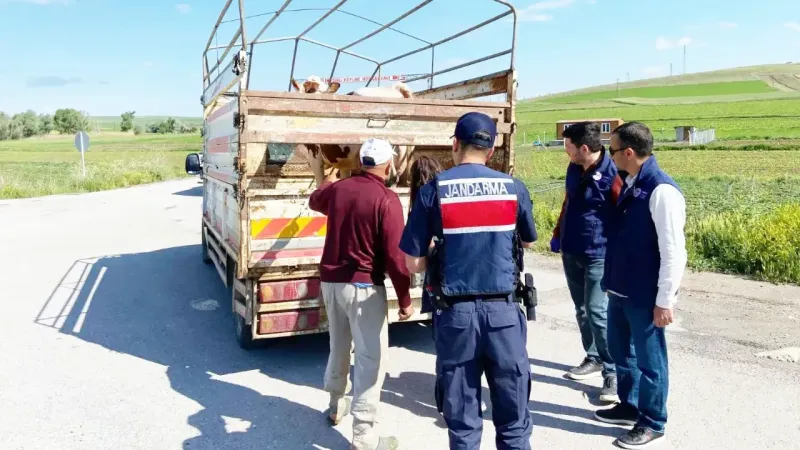 Yozgat’ta Jandarmadan Kurban Bayramı Öncesi Kritik Uyarılar!