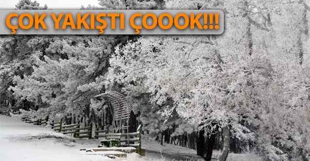 Yozgat'a Kar Beyazı Çok Yakıştı! Bozok Yaylası'nda Görülmeye Değer Kış Manzaraları!
