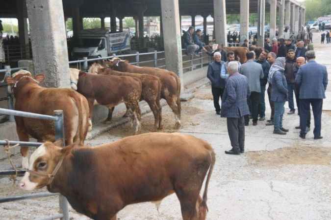 Yozgat Veteriner Odası'ndan Kurbanlık Uyarısı