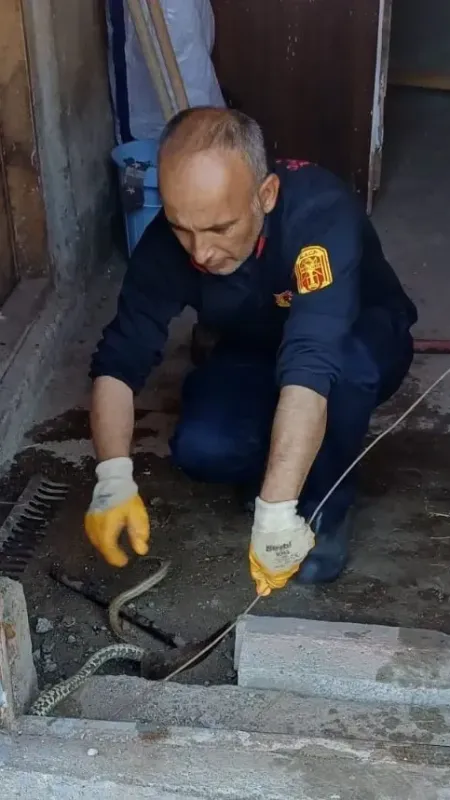 Orada Görüldü: Sırada Yozgat Var!