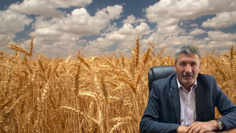 Yozgat'ta Çiftçiler Buğday Fiyatlarından Memnun Değil