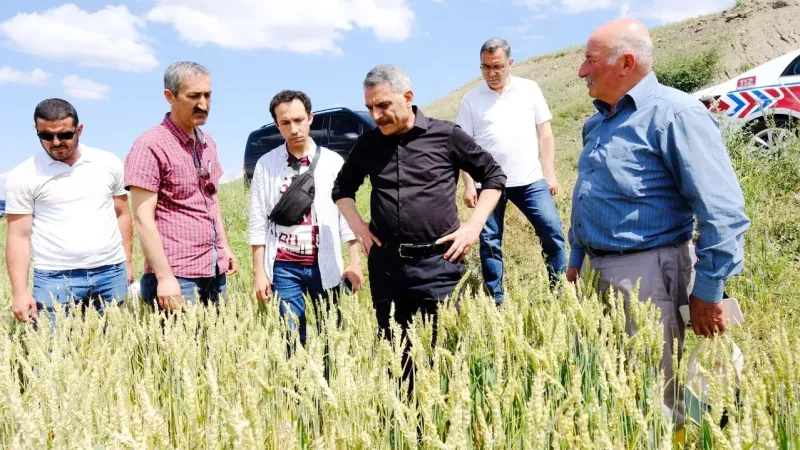 Yozgat’ta Şiddetli Yağış Tarım Arazilerine Zarar Verdi! Vali Özkan İncelemelerde Bulundu…