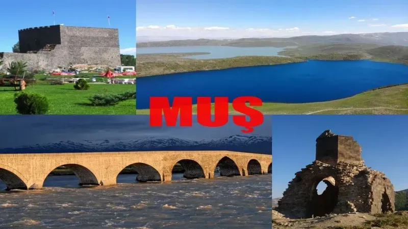 Muş Gezilecek Yerler! Muş'ta Nerelere Gidilir? Muş Gezi Rehberi 2024