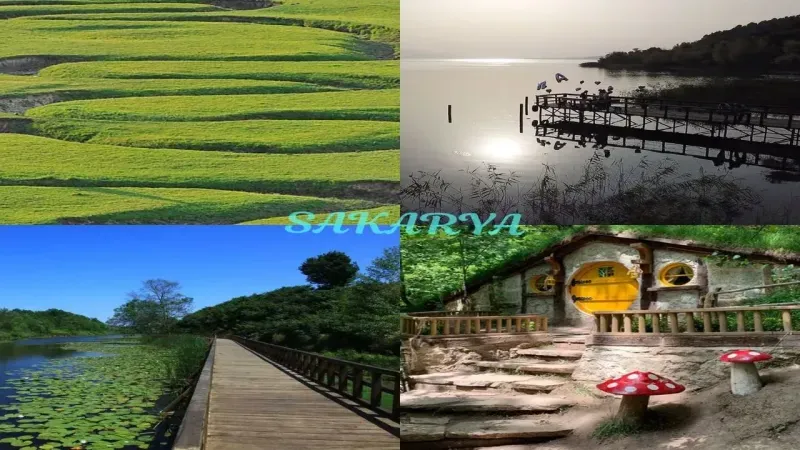 Sakarya Gezilecek Yerler! Sakarya'da Karavanla Nerelere Gidilir? Sakarya Gezi Rehberi 2024