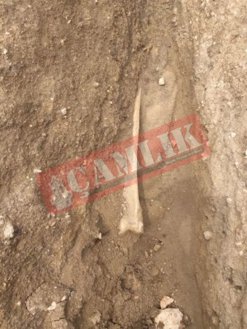 Son dakika! Yozgat'ta kafatası ve kemikler ortaya çıktı!