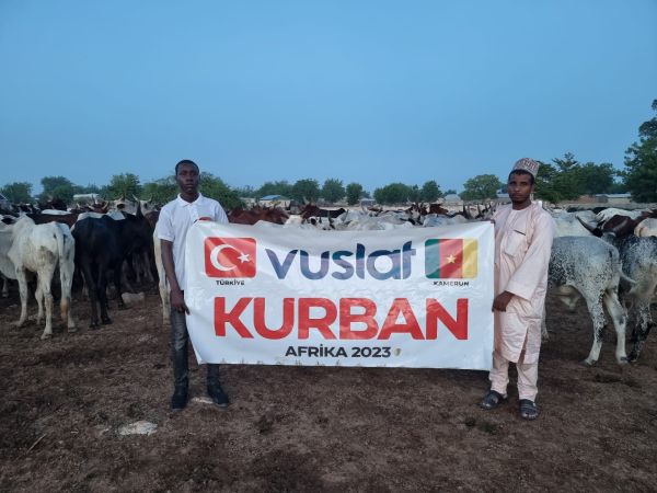 Dernek ve Vakıfların Kurban Organizasyonları