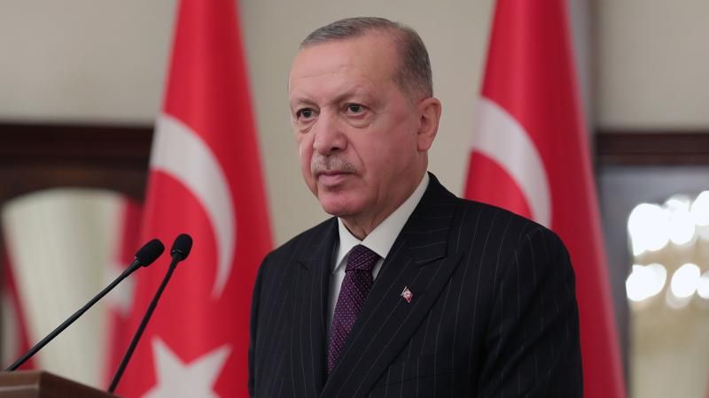 Cumhurbaşkanı Erdoğan Sinan Ateş'in Eşi Ayşe Ateş'le Neyi Görüşecek?