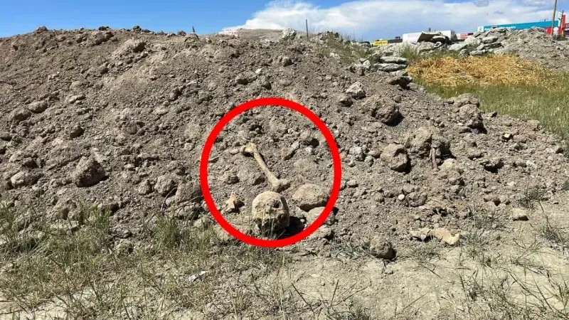 Van’da Hafriyat Atıkları Arasında Ne Bulundu