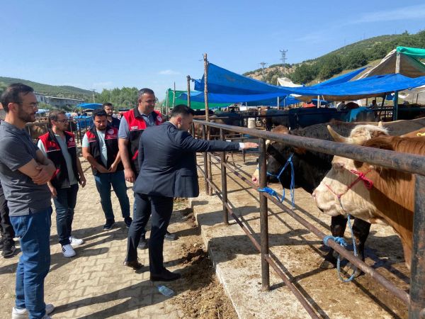 Kaymakam Furkan Nezir, Hayvan Pazarında Besicilerle Buluştu!