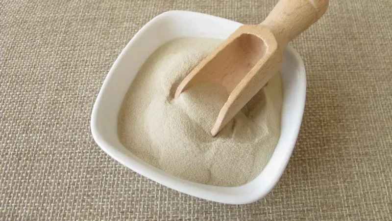 Agar Agar Tozu Nedir?