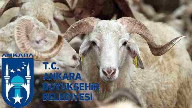ABB'den Bayramda Muhteşem Hareket! Kentin 5 Noktasında Bekleyerek İhtiyaç Sahiplerine Ulaşıyorlar!