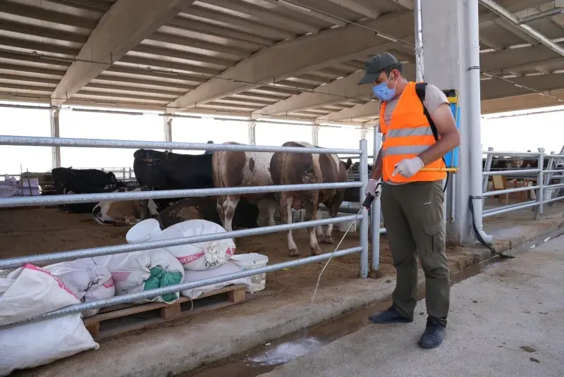 Gölbaşı kurban satış merkezinde bayram heyecanı