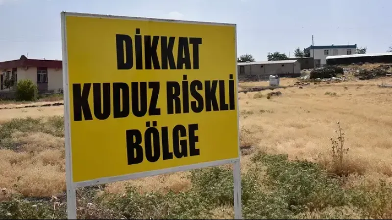 Şanlıurfa'da Kuduz Alarmı! Mahalle Karantinaya Alındı, Halk Tedirgin!