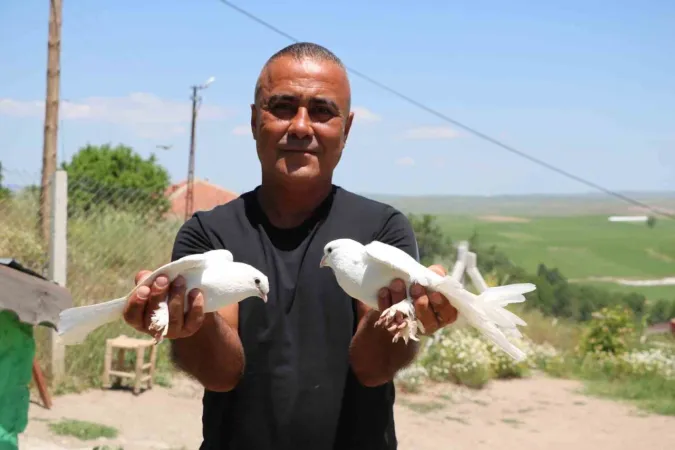 Yozgat'ın kuşlarına güç yetmiyor... Sabah ezanıyla uyanıyor! Şampiyonaya hazırlanıyorlar....